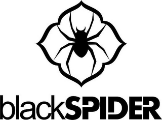 BLACKSPIDER logo