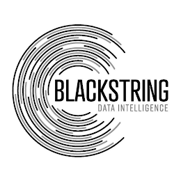 BLACKSTRING DATA INTELLIGENCE logo