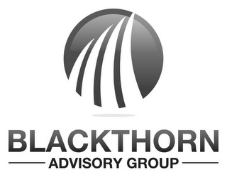 BLACKTHORN ADVISORY GROUP logo