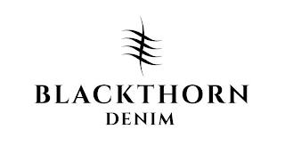 BLACKTHORN DENIM logo