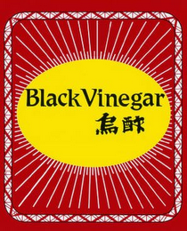 BLACKVINEGAR logo