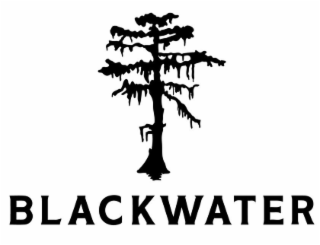 BLACKWATER logo