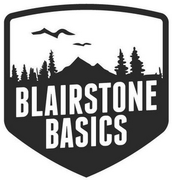 BLAIRSTONE BASICS logo
