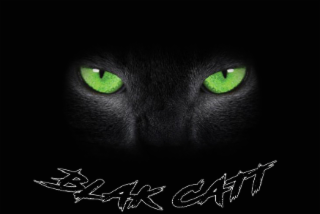 BLAK CATT logo