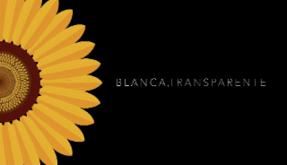 BLANCA.TRANSPARENTE logo