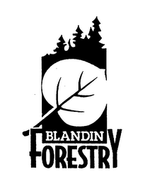 BLANDIN FORESTRY logo