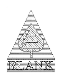 BLANK logo