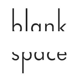 BLANK SPACE logo