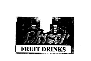 BLAZER FRUIT DRINKS logo