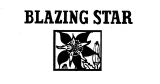 BLAZING STAR logo