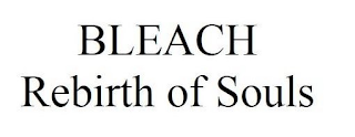 BLEACH REBIRTH OF SOULS logo