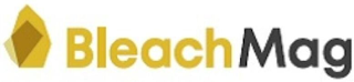 BLEACHMAG logo