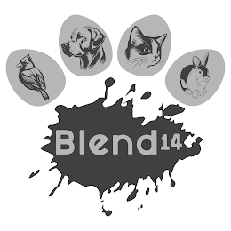 BLEND14 logo