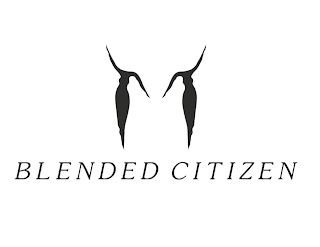 BLENDED CITIZEN logo