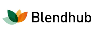 BLENDHUB logo