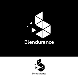 BLENDURANCE logo