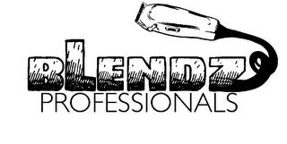 BLENDZ PROFESSIONALS logo