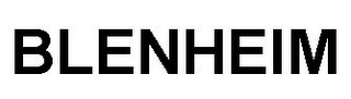 BLENHEIM logo