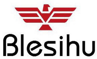 BLESIHU logo