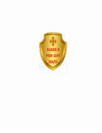 BLESS 3 PER DAY B3/D logo