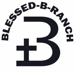BLESSED-B-RANCH B logo
