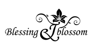 BLESSING & BLOSSOM logo