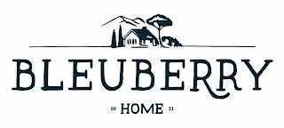 BLEUBERRY 20 HOME 21 logo