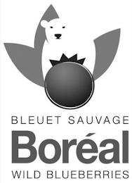 BLEUET SAUVAGE BORÉAL WILD BLUEBERRIES logo