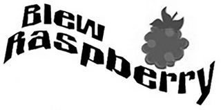 BLEW RASPBERRY logo