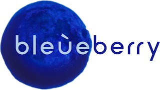 BLEÙEBERRY logo