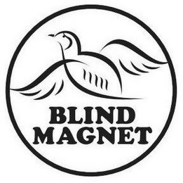 BLIND MAGNET logo