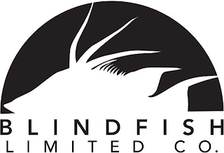 BLINDFISH LIMITED CO. logo