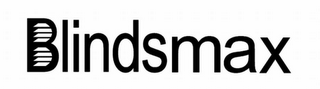 BLINDSMAX logo