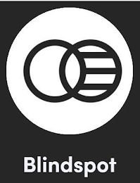BLINDSPOT logo