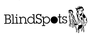 BLINDSPOTS logo