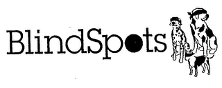 BLINDSPOTS logo