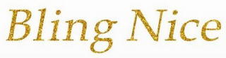 BLING NICE logo