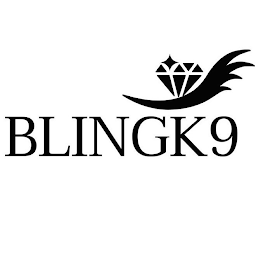 BLINGK9 logo