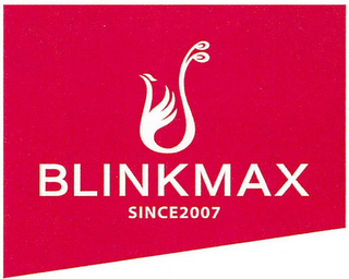 BLINKMAX SINCE2007 logo