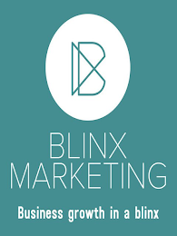BLINX MARKETING BUSINESS GROWTH IN A BLINX logo