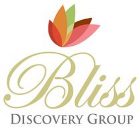 BLISS DISCOVERY GROUP logo