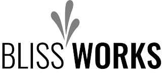 BLISS WORKS logo
