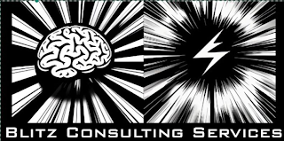 BLITZ CONSULTING SERVICES logo