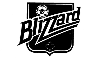 BLIZZARD logo