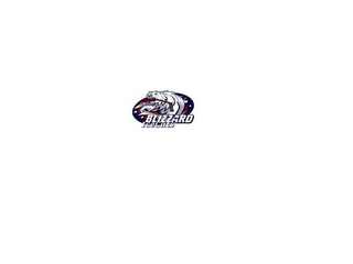 BLIZZARD ICECATS