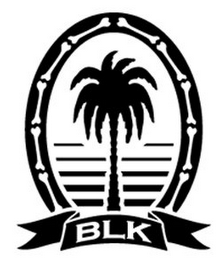 BLK logo