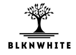 BLKNWHITE logo
