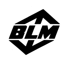 BLM logo