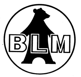BLM logo