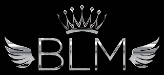 BLM logo